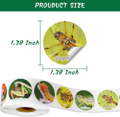 600 Pcs Insect Stickers Decals for Kids, 1.38 Inch Classroom Teaching Supplies