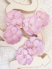IMAGINE – BERRY PINK – 6 Flowers PAPER 50-55mm Manor House