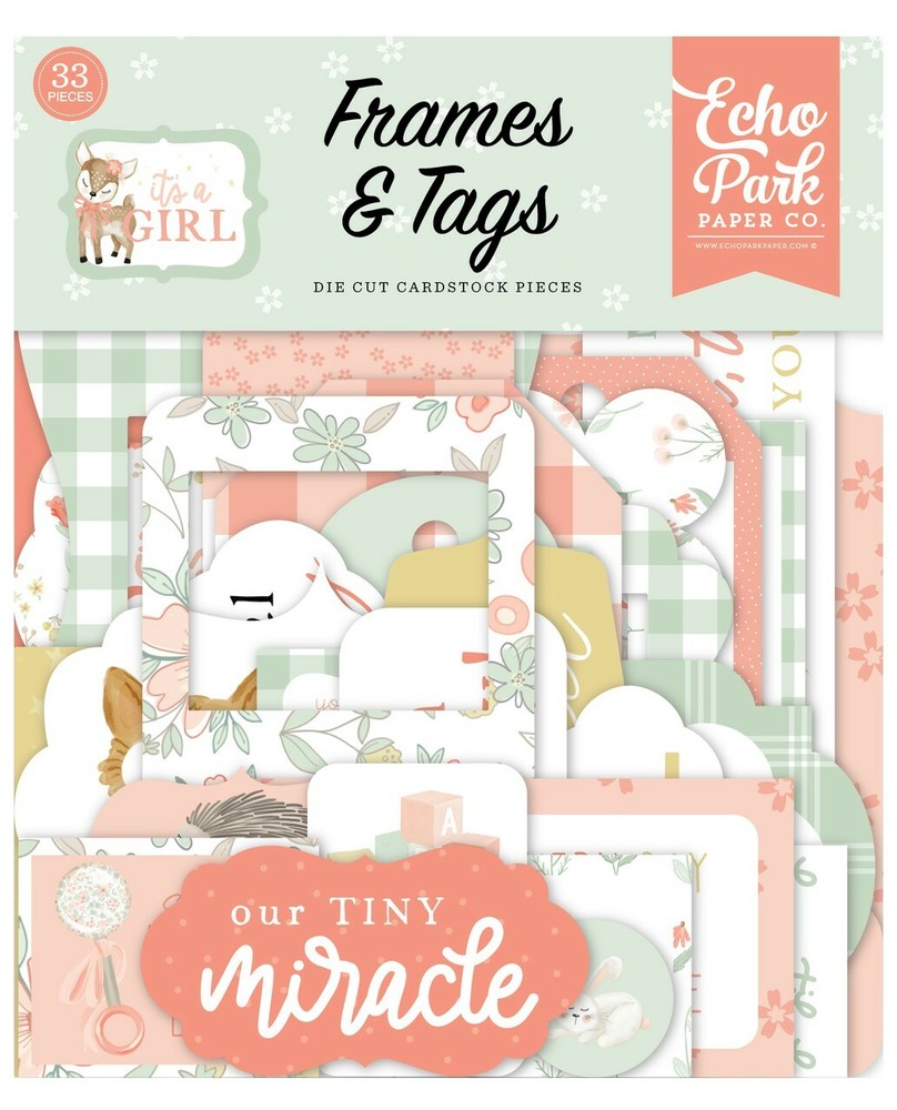 1 Pack of Echo Park Paper IT’S A GIRL Baby Shower Frames & Tags Ephemera Pieces