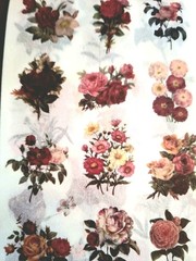 50 Pgs Detailed Beautiful Floral Sticker Book & Eph Paper 22pgs & 375 Stickers