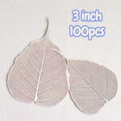 100x 3inch Natural Skeleton Bodhi Dried Leaves for Craft DIY Art Decorate Wedd