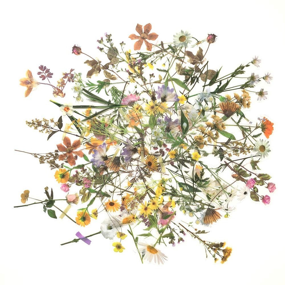 120Pcs Natural Flower Stickers for Scrapbook, Transparent Dried Resin Floral …