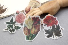 60pc botanical and mushroom Washi stickers | flower die-cut Stickers M02 TZB-L2