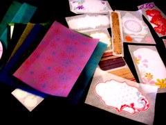 Lot Stickers, Whimsy&Cheer Vellum stickers, delight Playtime Stickers Plus