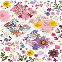 204 Pcs Dried Pressed Flowers for Resin Crafts, Real Purple Pink 204pcs