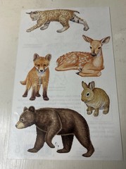 Mrs Grossman BABY ANIMALS Stickers RARE STUDIO LINE