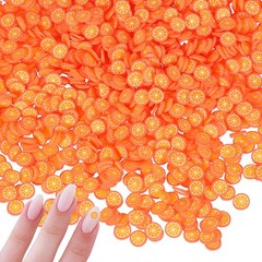 Polymer Clay Slices, 100g Orange Slice Fruit Art Slices, Orange
