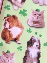 1 Sheet AGC Dogs Cats Pets Leprechaun Stickers St Patricks Ireland Clover Luck