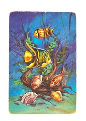 Vintage Tropical Fish Colorful US Playing Cards Junk Journal Scrapbook Collage