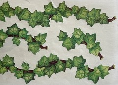 GREEN IVY BORDER Stickers (7pc)Climbing•Plant•Garden •Leaves•Outside•Card Making