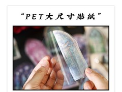 10Pcs Manor Secret Series PET Decorative Stickers Pack DIY Scrapbooking Supplies