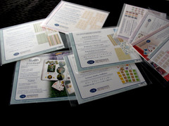 CREATIVE MEMORIES STICKER PACKS, Autumn, Happenings, Months in Bloom- NIP