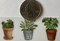 HERBS & VEGETABLE Mylar￼Stickers(11pc)Seed-Packet•Plants •Garden•Card Making•