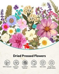 Dried Flowers, Resiners 100Pcs Pressed Flowers for Craft Blossom 100pcs