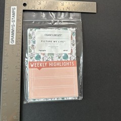 CTMH Overlays Cards Ephemera LOT Picture My Life Junk Journal Scrapbook #2