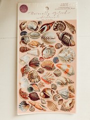 Vintage 1995 Punch Studio Seashells Stickers NOS 2 Sheets Naturally Gifted Shell