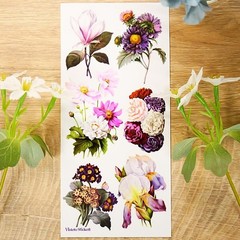 Violette Stickers – Elegant Flowers – 1 Floral Garden Sticker Sheet – Scrapbooks