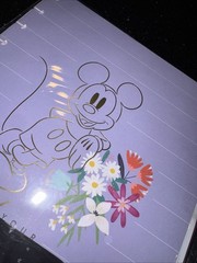 Happy Planner Disney Mickey Minnie Mouse Undated BIG VERTICAL EXTENSION PACK New