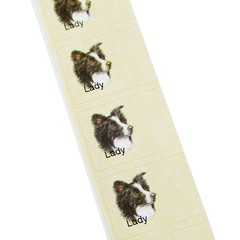 Wildlife Animal Scrapbook Craft Stickers Border Collie Pet Wolf Moose Birds Mix