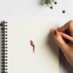Parrot Stickers 1In for Scrapbooking, Arts, Craft, Kids DIY, Calendars Journals