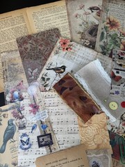 Vintage Bird Ephemera Bundle Junk Journal Kit Cottagecore Nature Scrapbook 69 Pc