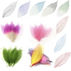 50pcs Skeleton Leaves Natural Dried Crafts Card Making