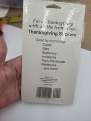 vintage American Greetings Forget Me Not Thanksgiving sticker 3 sheets fall