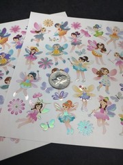 Fairies Flowers And Butterflies Sticker Sheet Craft Stickers 2 Sheets