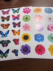 Two Small Sheets of Stickers – Butterfly and Flowers from American Greetings