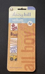 Daisy Hill Vellum Swatch Young Boy Scrapbooking 24 sheets Bugs Trucks Sports Dog