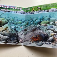 FISH Japanese Stickers book 274 stickers Shogakkan NEO Book Series