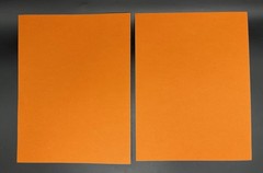 Lot of 39 Scrapbooking Paper Card Stock Variety Colors Themes 8.5″ x 11″