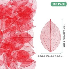 100-Pack Skeleton Leaves, Natural Rubber Tree Leaves Vein[4-6cm, Red]