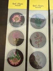 Lot Of 12 REAL Pressed Flowers Stickers Vintage Victorias Garden Scrapbook-36