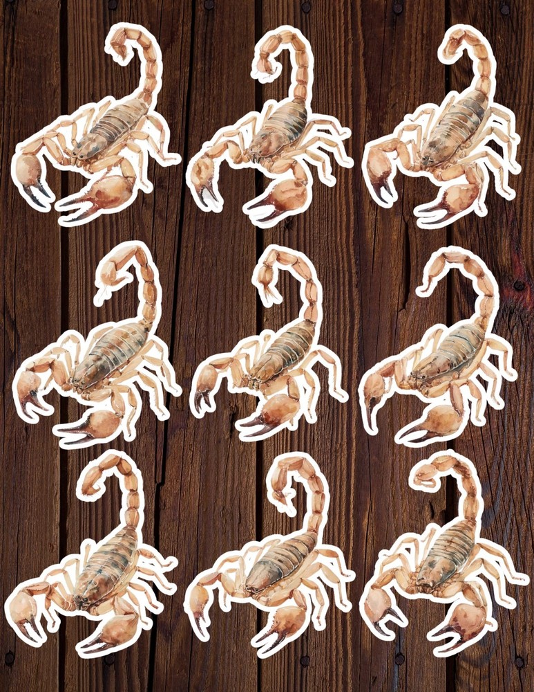 Watercolor Scorpion Die Cut Vinyl Stickers Scrapbooking Laptop Waterbottle