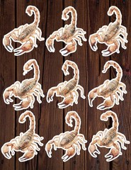 Watercolor Scorpion Die Cut Vinyl Stickers Scrapbooking Laptop Waterbottle