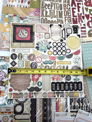 Mixed Scrapbook Sticker Chipboard Lot Crate Paper Heidi Grace Thickers Kit