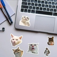 50 Cat Meme Stickers Kitty Faces Cute Cats Decals Laptop Phone Water Bottle