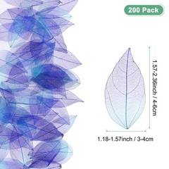 200-Pack Skeleton Leaves, Natural Rubber Leaves Vein[4-6cm, Purple, Blue]
