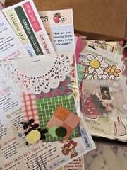 Strawberry Shortcake Scrapbooking Junk Journal Embellishment Vintage Empherma