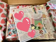 Strawberry Shortcake Scrapbooking Junk Journal Embellishment Vintage Empherma