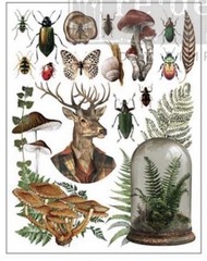 Ephemera Enclave Rub-on Transfer 3 Sheets 8.5”x11” – Redesign With Prima