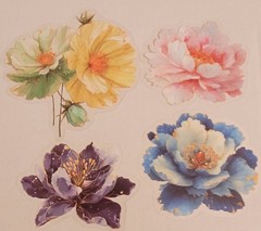 BB12E 12pc set Transparent Watercolor Flower Blooms Journal Crafting Stickers