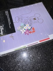 Happy Planner Disney Mickey Minnie Mouse Undated BIG VERTICAL EXTENSION PACK New