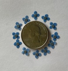 BLUE IMPETIENS FLOWER Embellishment (12pc)Jolee’s •Garden•Plant•Spring•Wedding