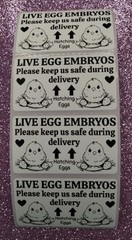 50 LIVE EGG EMBRYOS STICKERS 2.25″ LABELS SEALS HATCHING EGGS FRAGILE SHIPPING
