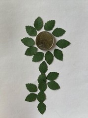 GREEN DARK ROSE LEAF Die-cut Embellishment(20pc)Jolees•Flower•Garden•Long Stem