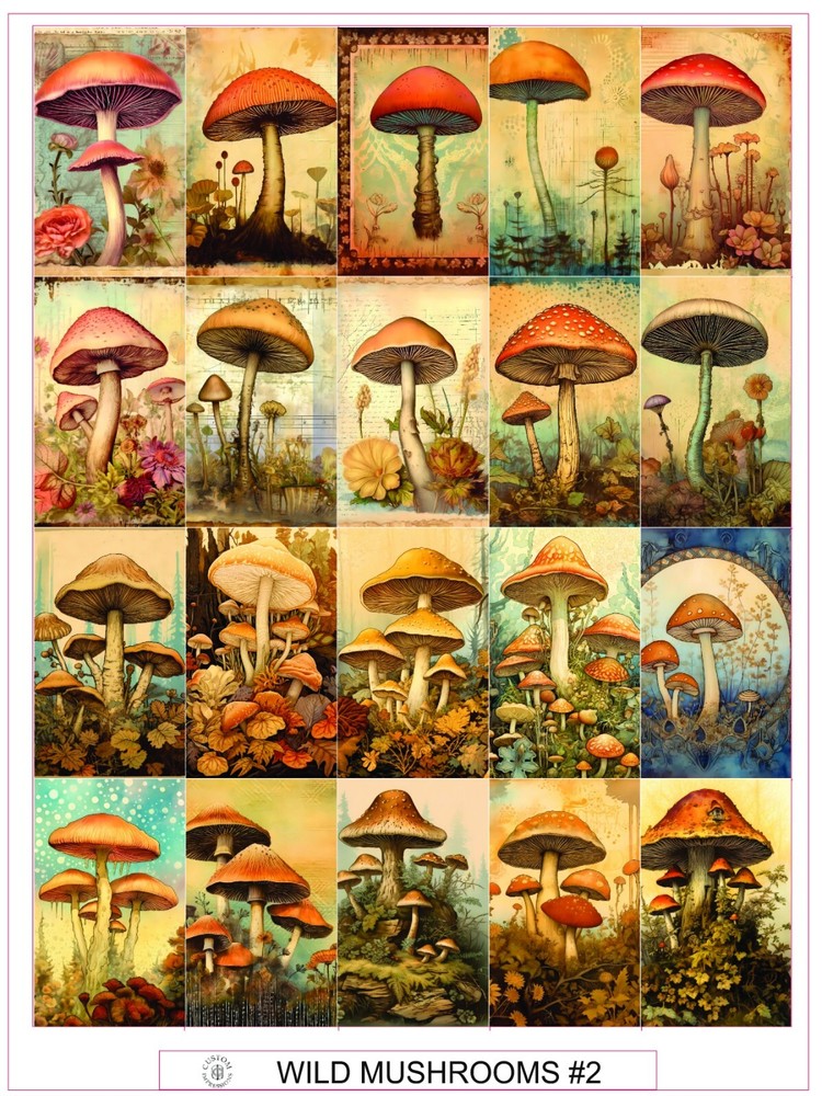 WILD MUSHROOMS #2- COMPLETE SHEET OF 20 STICKERS