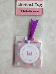 2 PC COLORBOK 3D STICKER LAYERED TAG PURPLE POLKA DOT TAG ‘HI’ ‘THINKING OF YOU’