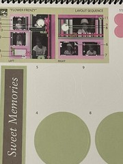 3Birds Designer Spirals – Scrapbooking by Number Page Designs/Layouts Plus Album